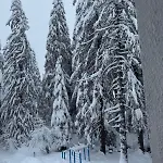 Gardens Mvs E28 Borovets