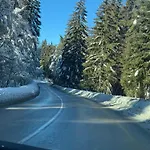 Gardens Mvs E28 Borovets