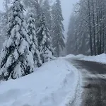 Gardens Mvs E28 Borovets