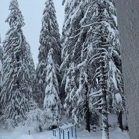 Gardens Mvs E28 Borovets