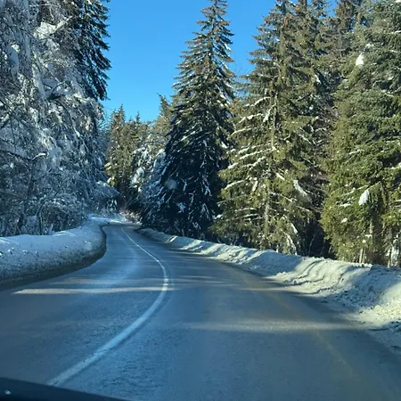 Borovetz Gardens Mvs E28 Borovets
