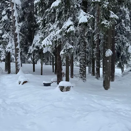 Gardens Mvs E28 Hotel 4*