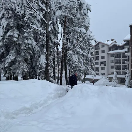 Hotel Borovetz Gardens Mvs E28