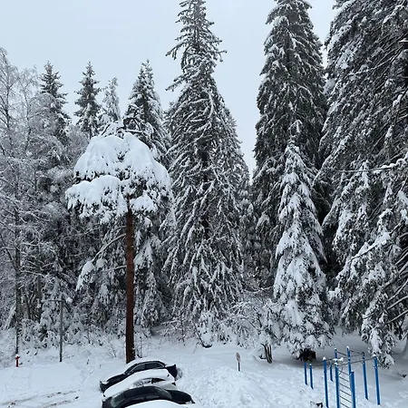 Mvs Gardens E28 Hotel Borovets
