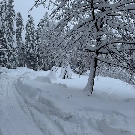 Gardens Mvs E28 4* Borovets