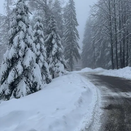 Mvs Gardens E28 Borovets