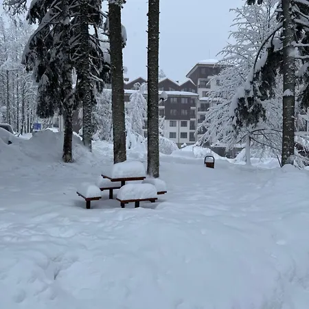 Hotel Borovetz Gardens Mvs E28