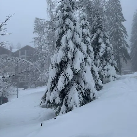 Hotel Gardens Mvs E28 Borovets