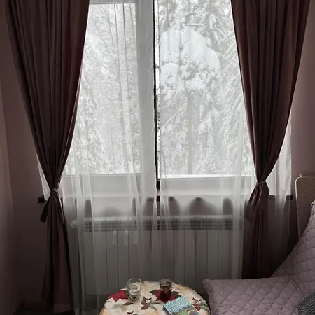 Hotel Borovetz Gardens Mvs E28 4*