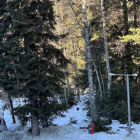 Hotel Gardens Mvs E28 Borovets