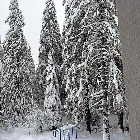 Mvs Gardens E28 Hotel Borovets
