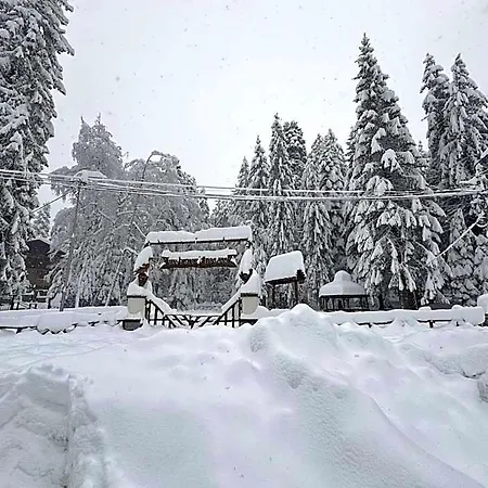Mvs Gardens E28 Borovets