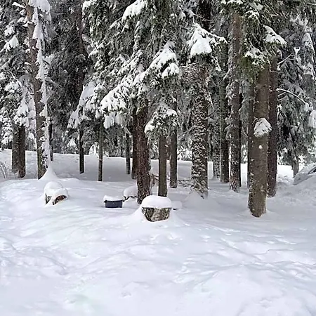 Mvs Gardens E28 Hotel Borovets