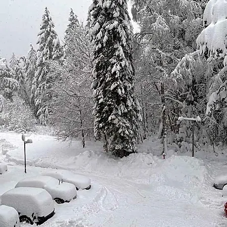 Hotel Mvs Gardens E28 Borovets