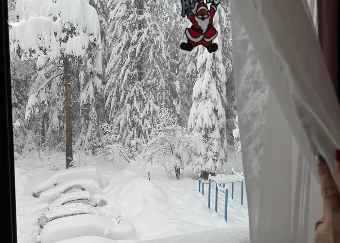 Gardens Mvs E28 Hotel Borowec