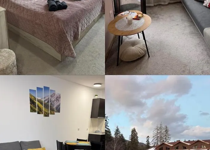 Hotel Gardens Mvs E28 Borowec