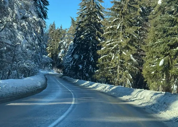 Gardens Mvs E28 Borowec