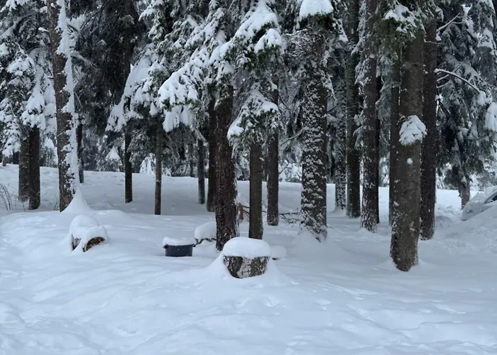 Gardens Mvs E28 Hotel 4*