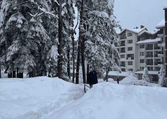 Hotel Gardens Mvs E28