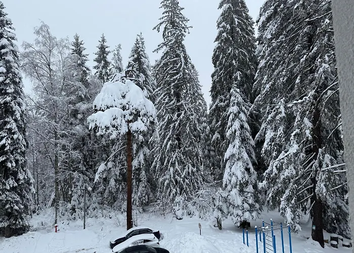 Gardens Mvs E28 Hotel Borowec