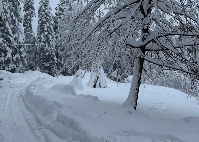 Gardens Mvs E28 4* Borowec