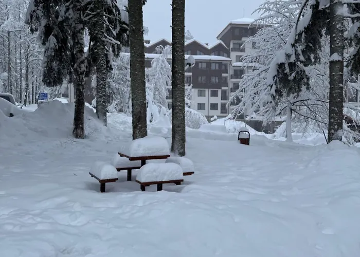 Hotel Gardens Mvs E28