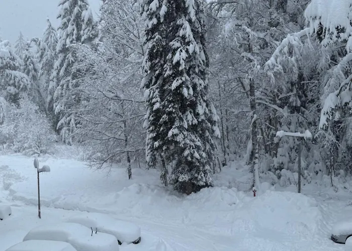 Hotel Gardens Mvs E28 4*