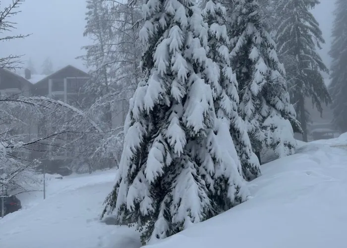 Hotel Gardens Mvs E28 Borowec