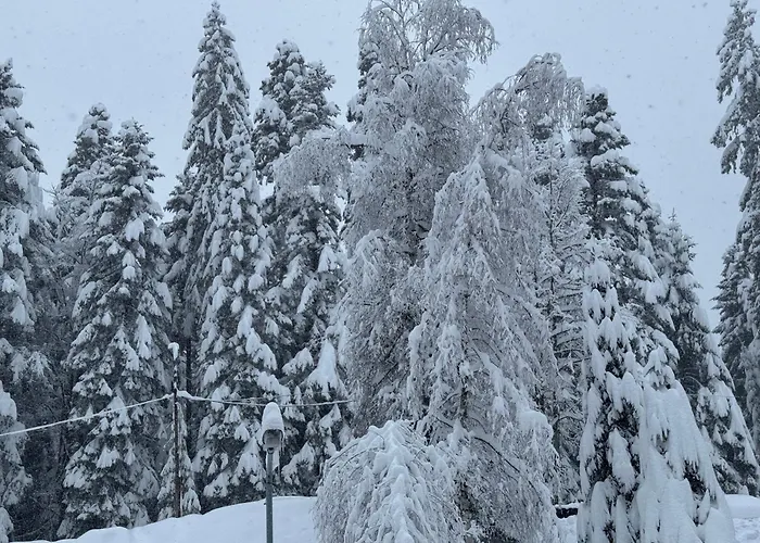 Gardens Mvs E28 Hotel