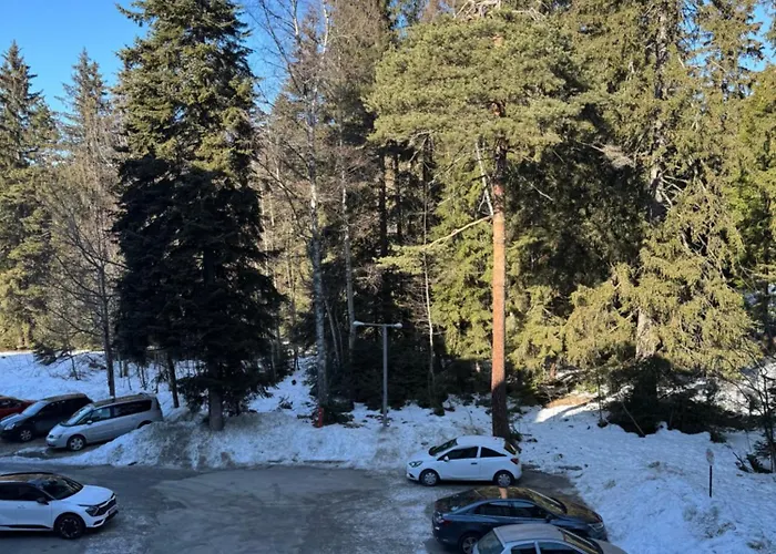 Gardens Mvs E28 Hotel Borowec